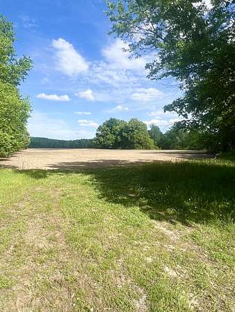 56.5 Acres of Land for Sale in Lexington, Tennessee
