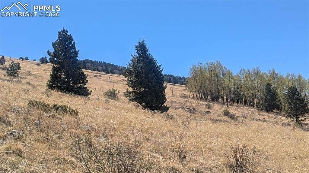 1.65 Acres of Residential Land for Sale in Cripple Creek, Colorado