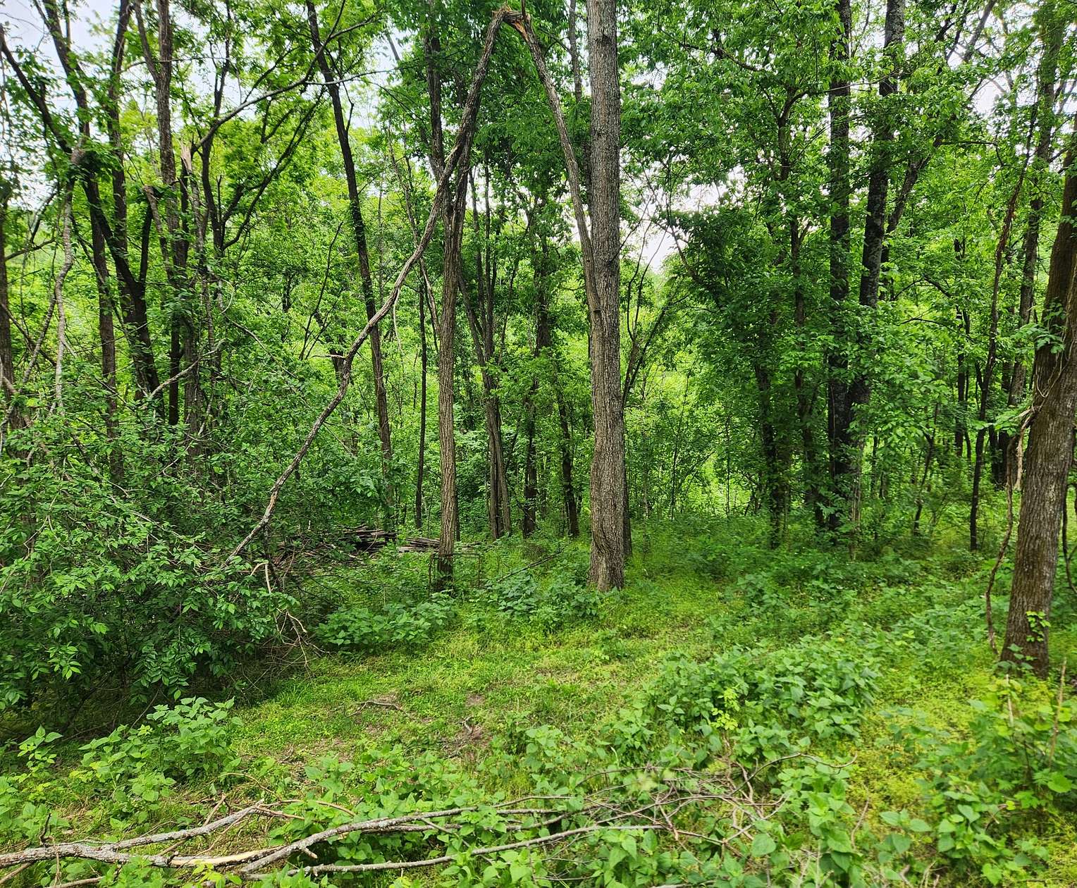 7.6 Acres of Residential Land for Sale in Bethpage, Tennessee