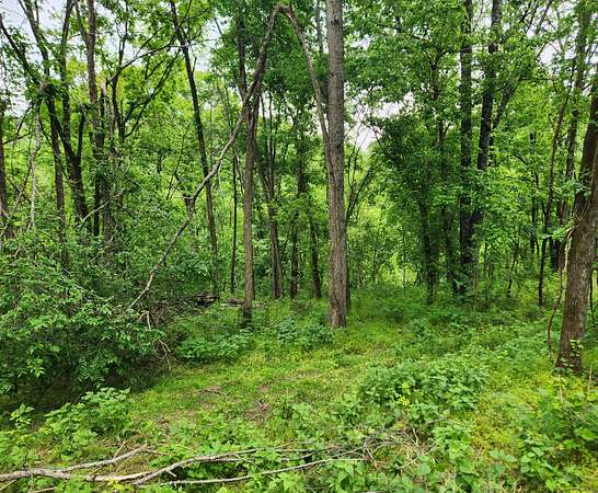 7.6 Acres of Residential Land for Sale in Bethpage, Tennessee
