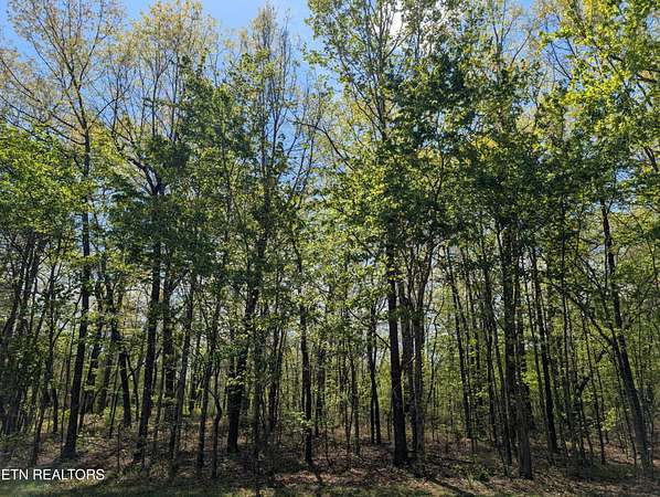 1.1 Acres of Residential Land for Sale in Monterey, Tennessee