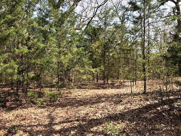 0.07 Acres of Residential Land for Sale in Mineola, Texas