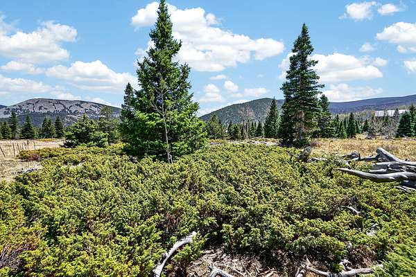 0.55 Acres of Land for Sale in Cuchara, Colorado