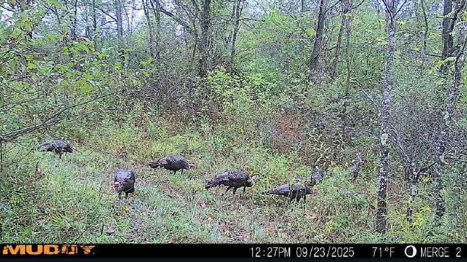 20 Acres of Recreational & Residential Land for Sale in Lucasville, Ohio