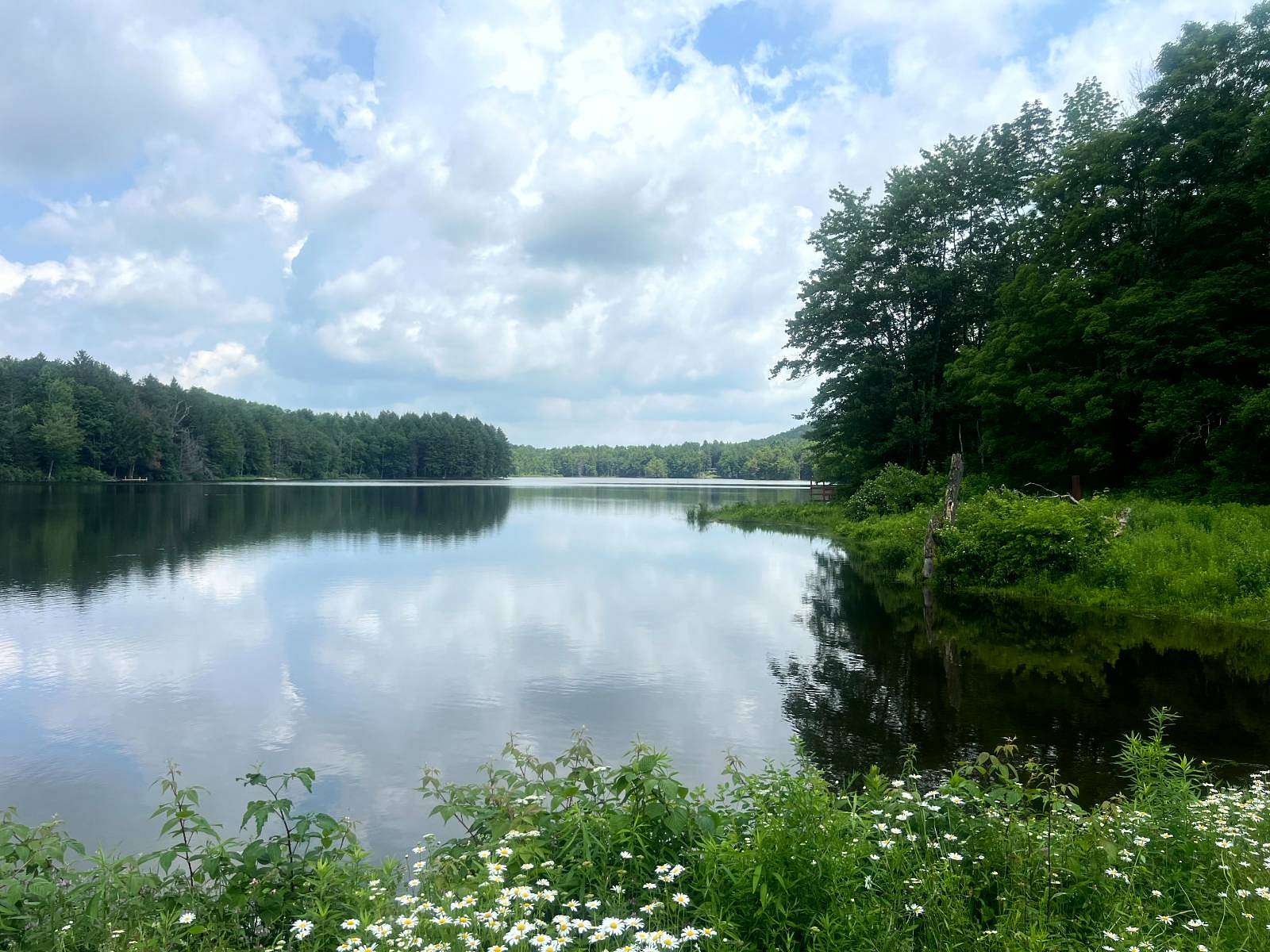 5.65 Acres of Land for Sale in Smyrna, New York