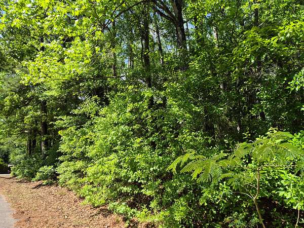 Residential Land for Sale in Thomasville, Alabama