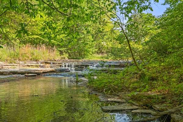 10.3 Acres of Land for Sale in Centerville, Tennessee