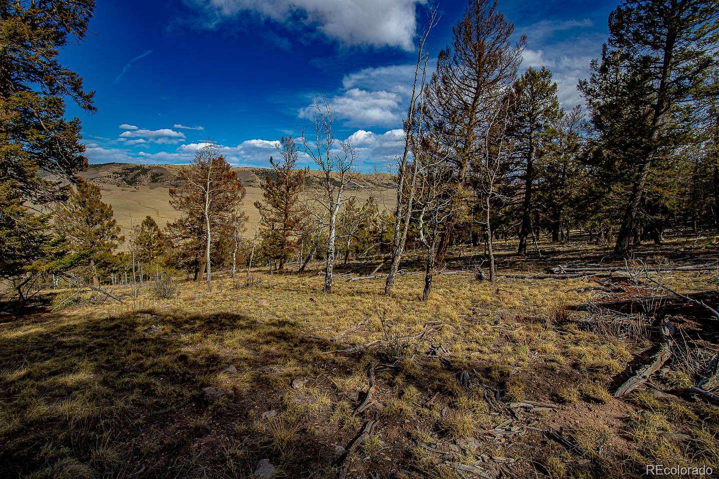 1.5 Acres of Residential Land for Sale in Fairplay, Colorado