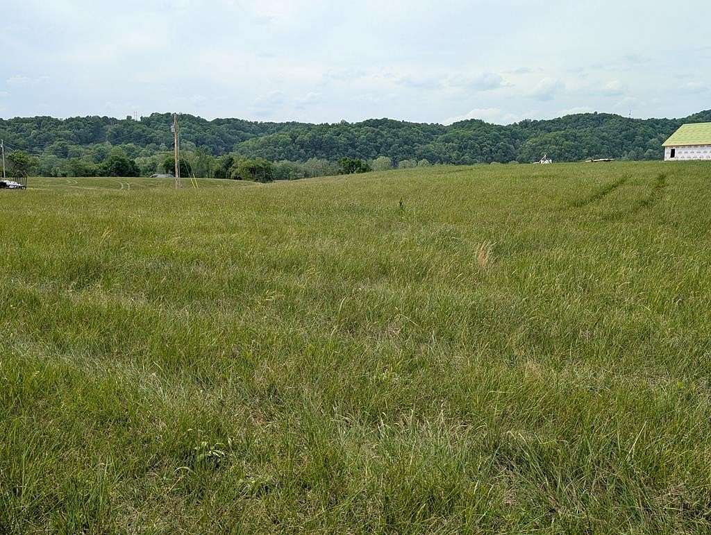 Residential Land for Sale in Burkesville, Kentucky