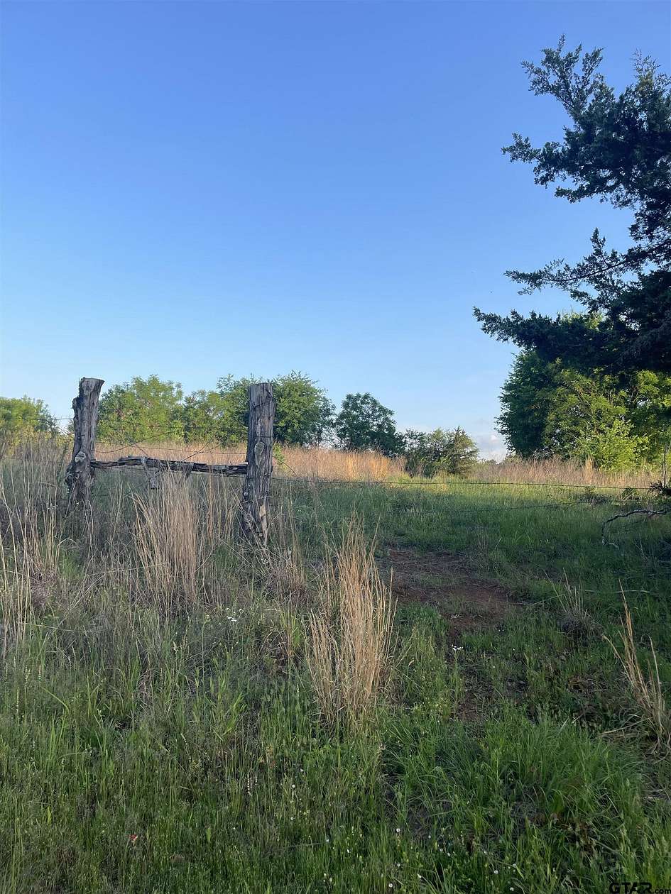 1 Acre of Residential Land for Sale in Pittsburg, Texas
