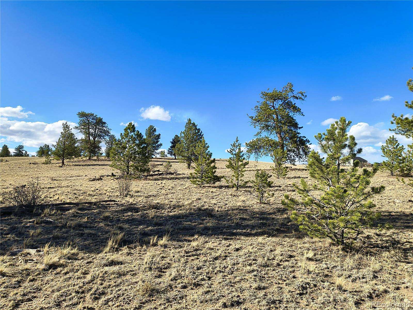 3 Acres of Residential Land for Sale in Hartsel, Colorado