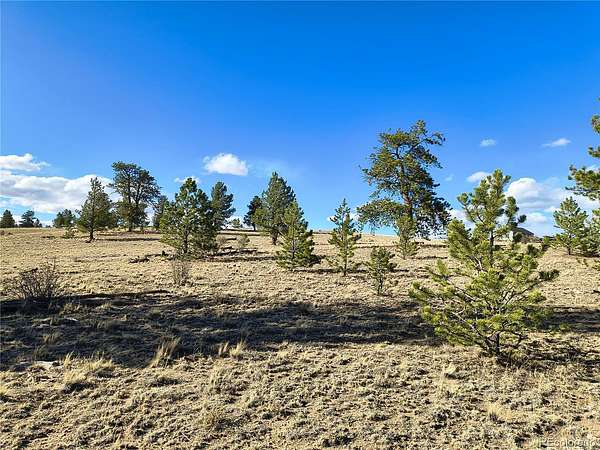 3 Acres of Residential Land for Sale in Hartsel, Colorado