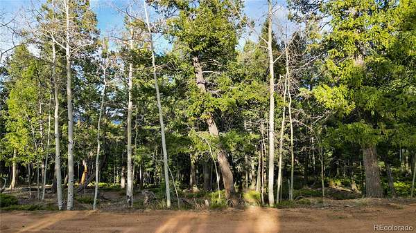 2 Acres of Residential Land for Sale in Woodland Park, Colorado
