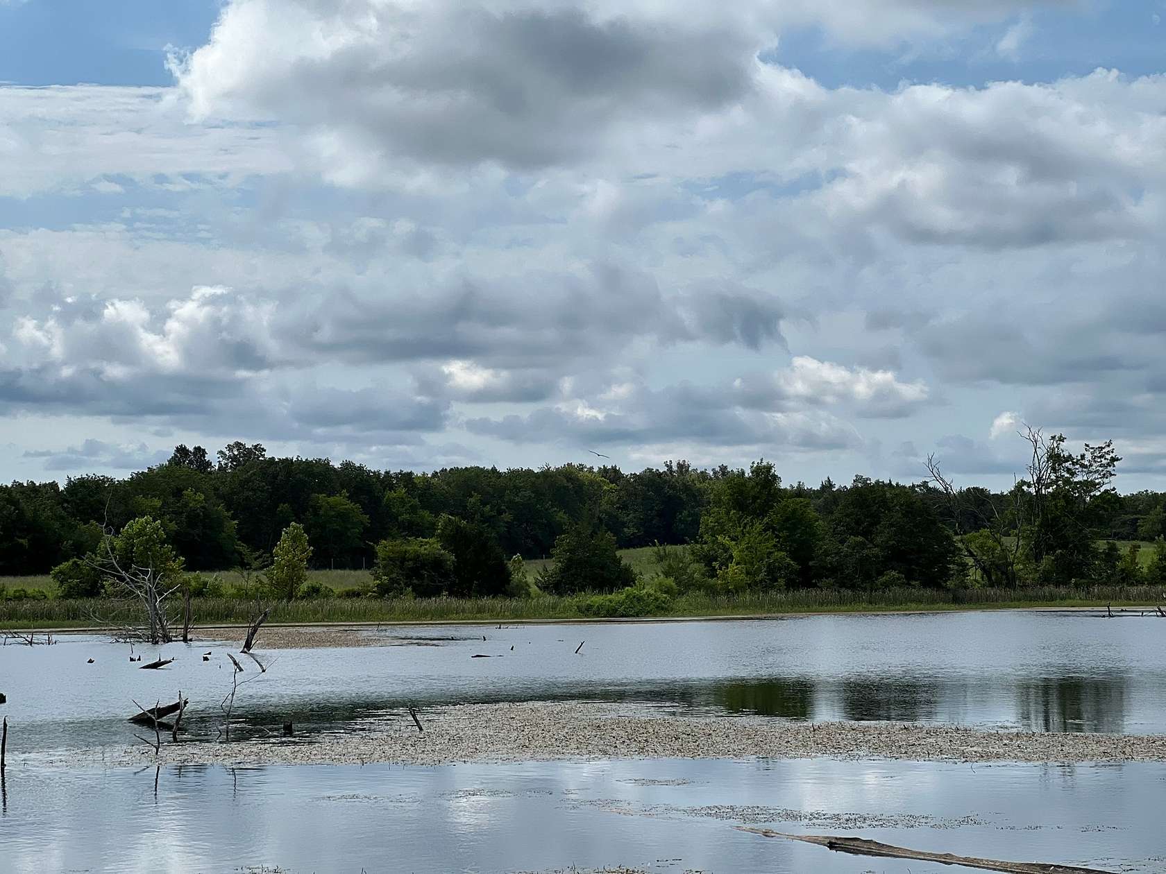 210 Acres of Recreational & Residential Land for Sale in Emelle, Alabama