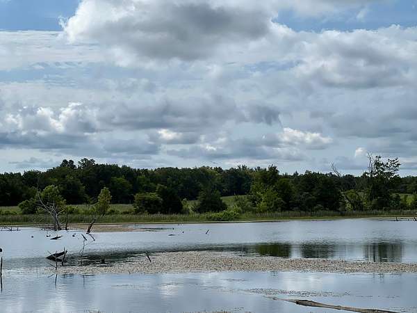 210 Acres of Recreational & Residential Land for Sale in Emelle, Alabama