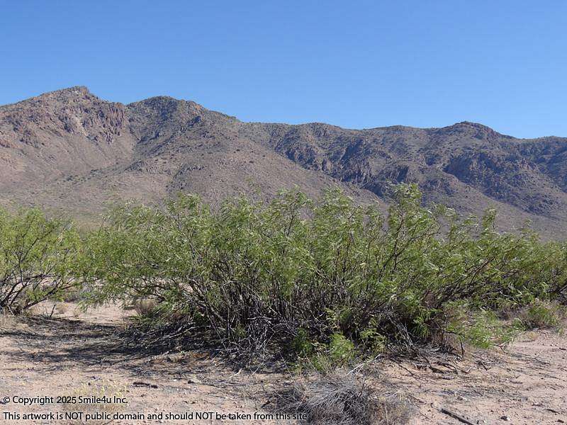 15.3 Acres of Recreational & Residential Land for Sale in Rodeo, New Mexico