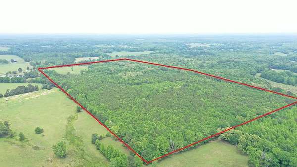 73.4 Acres of Recreational & Residential Land for Sale in Naples, Texas