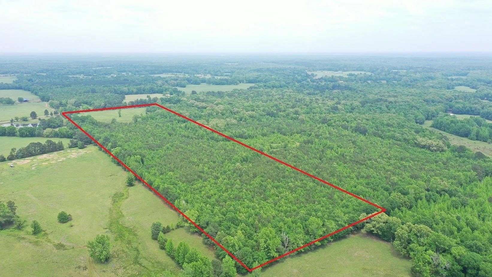 36.7 Acres of Recreational & Residential Land for Sale in Naples, Texas