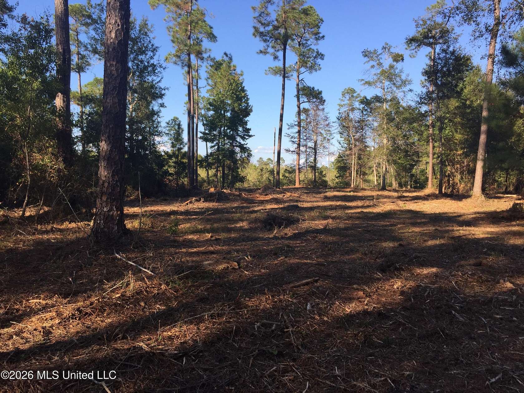 16.7 Acres of Land for Sale in Kiln, Mississippi
