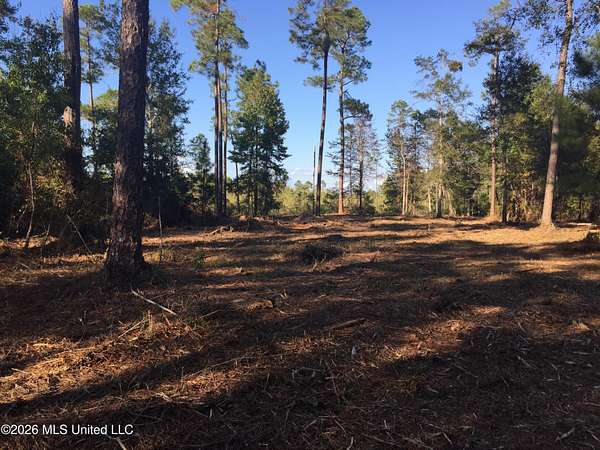 16.7 Acres of Land for Sale in Kiln, Mississippi