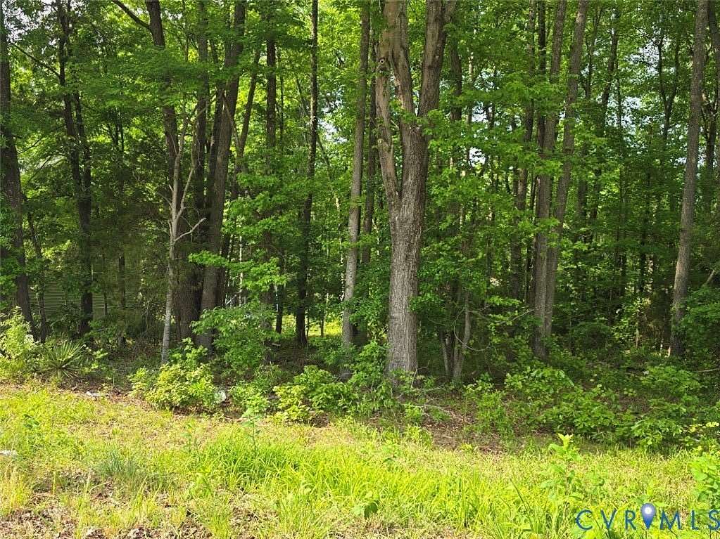 0.15 Acres of Commercial Land for Sale in Blackstone, Virginia