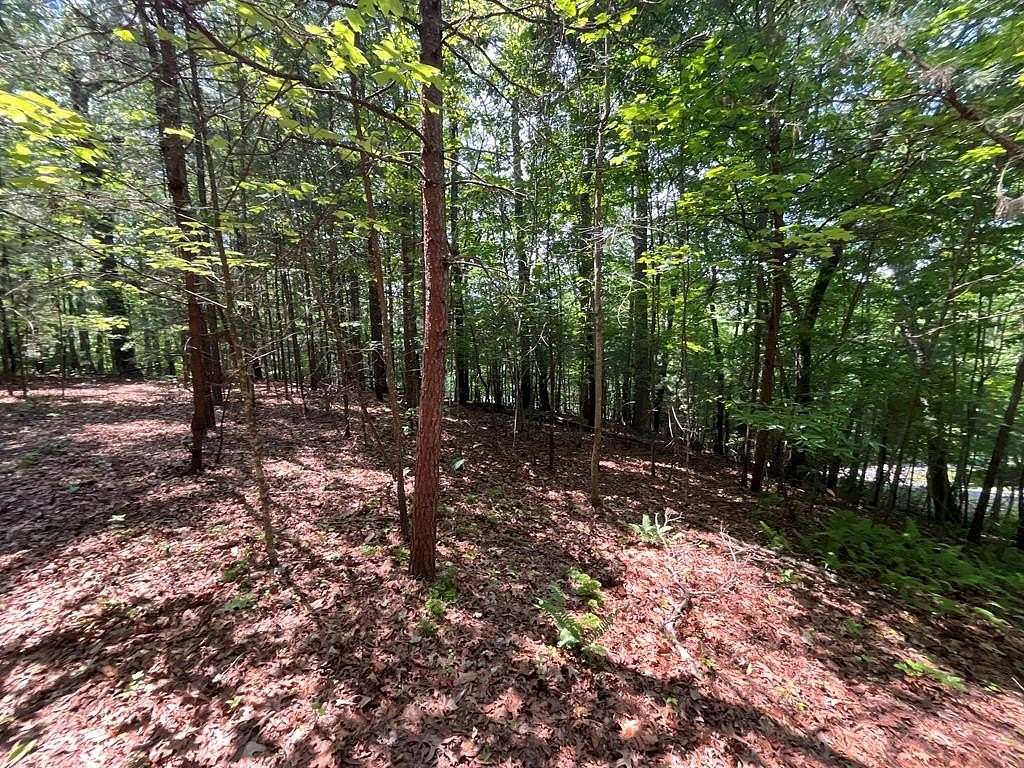 1 Acre of Residential Land for Sale in Murphy, North Carolina