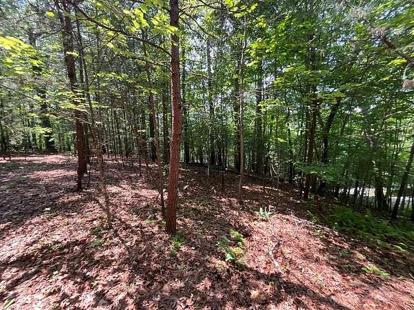 1 Acre of Residential Land for Sale in Murphy, North Carolina