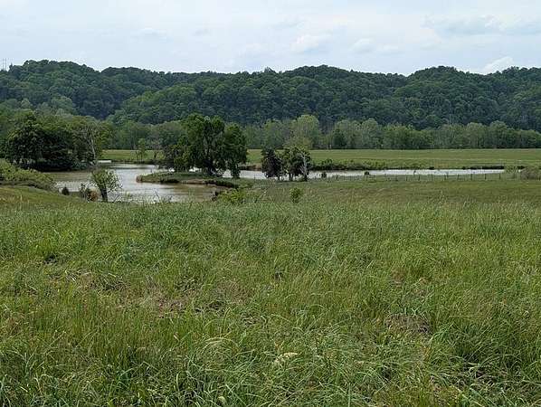 Residential Land for Sale in Burkesville, Kentucky