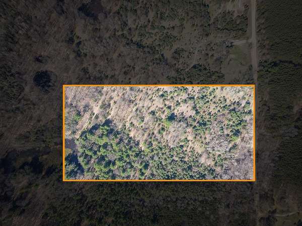 20 Acres of Recreational Land for Sale in Shelby, Michigan