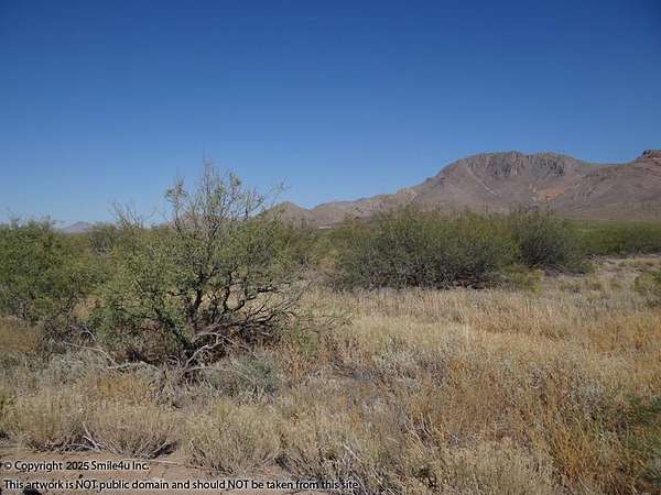 30.3 Acres of Recreational & Residential Land for Sale in Rodeo, New Mexico