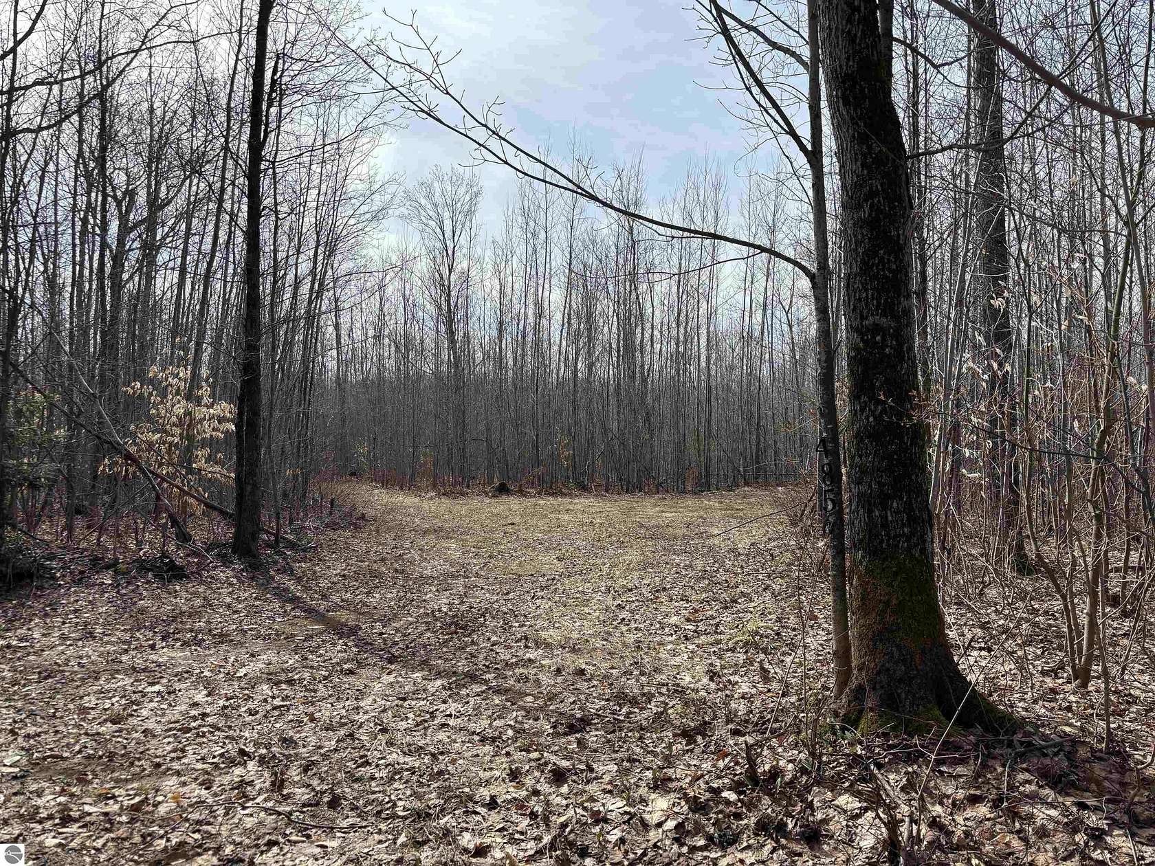 5 Acres of Land for Sale in Mancelona, Michigan