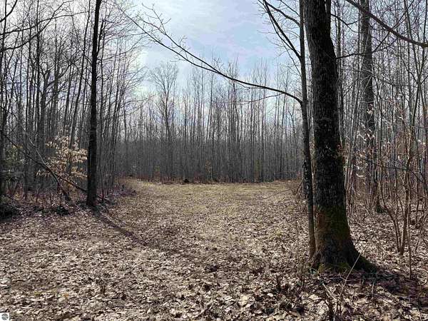 5 Acres of Land for Sale in Mancelona, Michigan