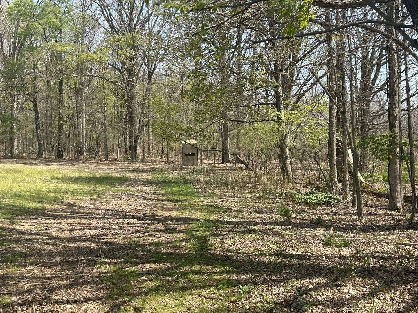 40 Acres of Land for Sale in North Adams, Michigan