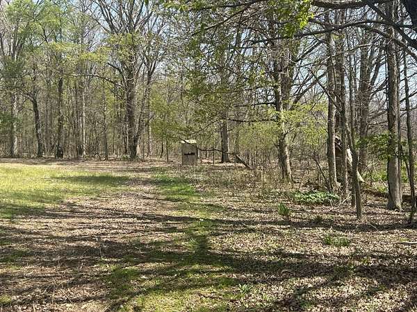 40 Acres of Land for Sale in North Adams, Michigan