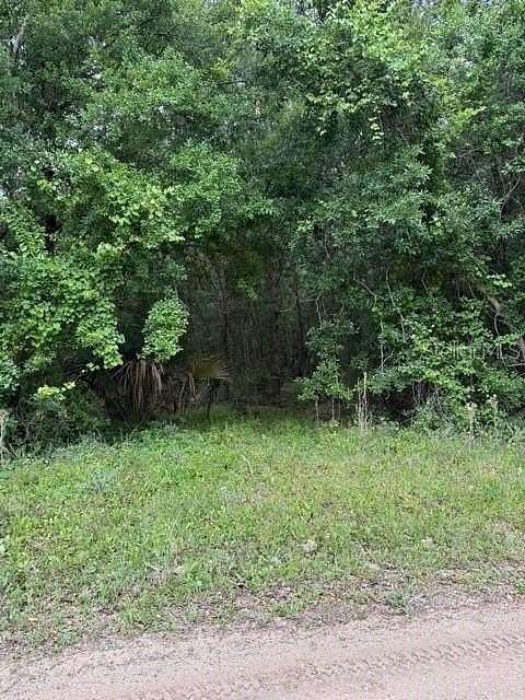 3 Acres of Residential Land for Sale in Bunnell, Florida