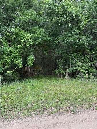 3 Acres of Residential Land for Sale in Bunnell, Florida