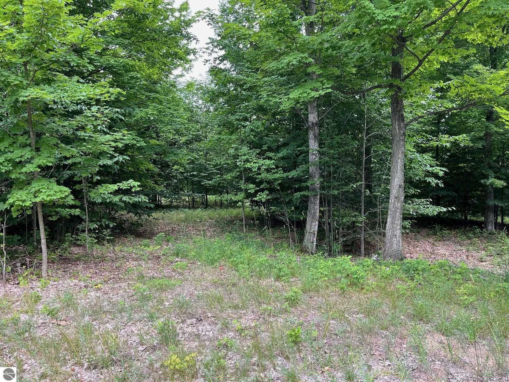 1 Acre of Residential Land for Sale in Empire, Michigan