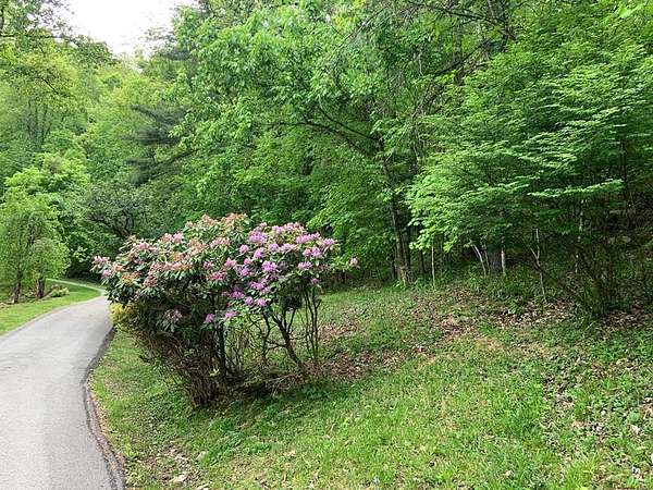 10.3 Acres of Land for Sale in Prestonsburg, Kentucky