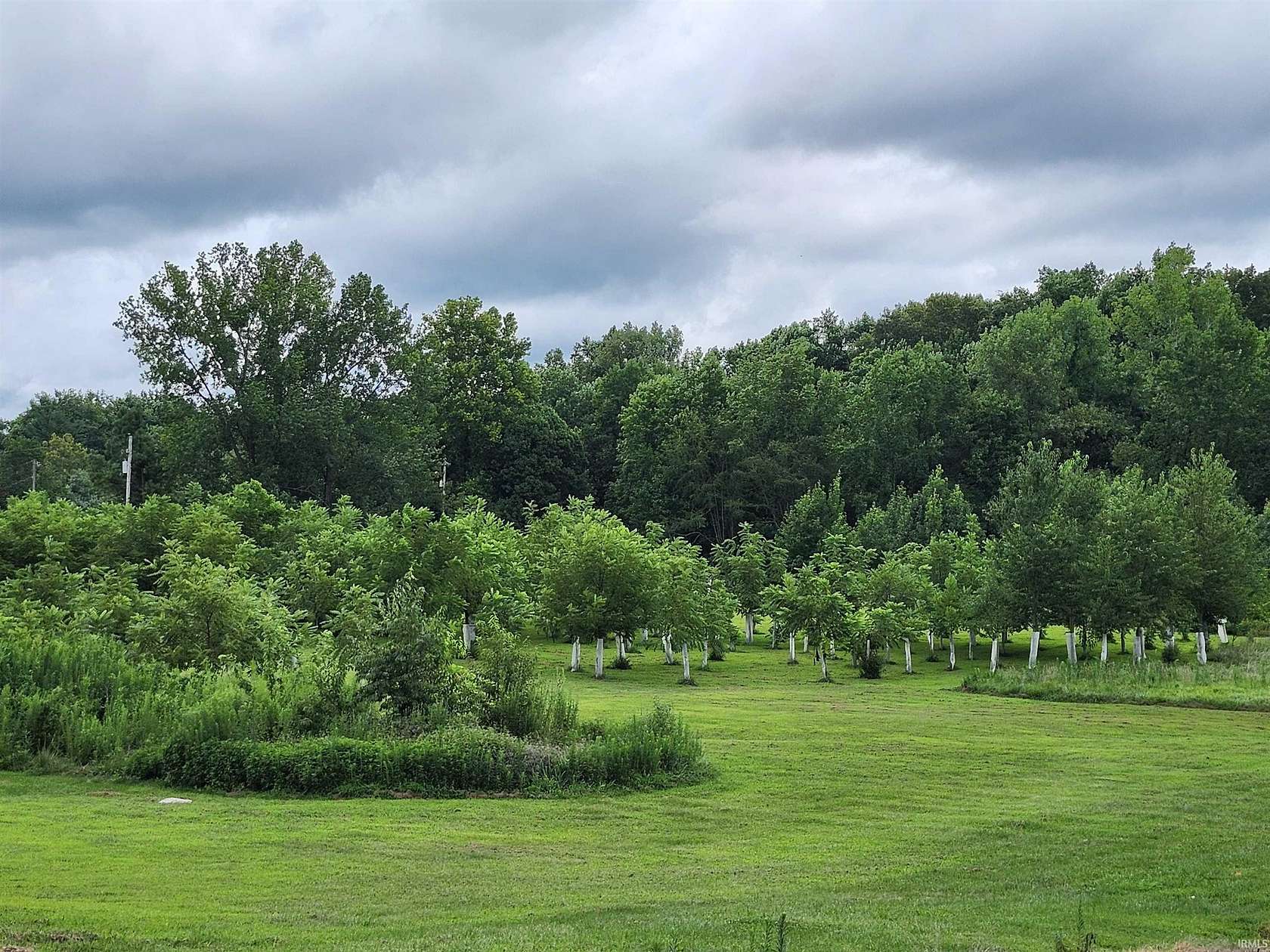 13.5 Acres of Agricultural Land for Sale in Boonville, Indiana