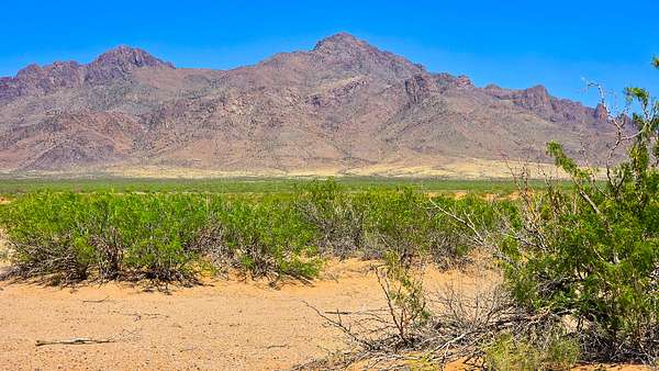 20 Acres of Recreational & Residential Land for Sale in Deming, New Mexico