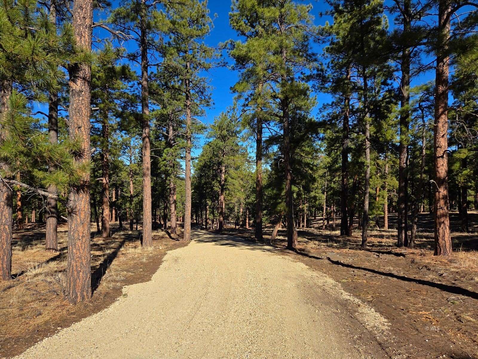 8.6 Acres of Residential Land for Sale in Westcliffe, Colorado