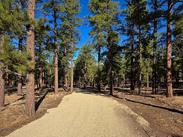 8.6 Acres of Residential Land for Sale in Westcliffe, Colorado