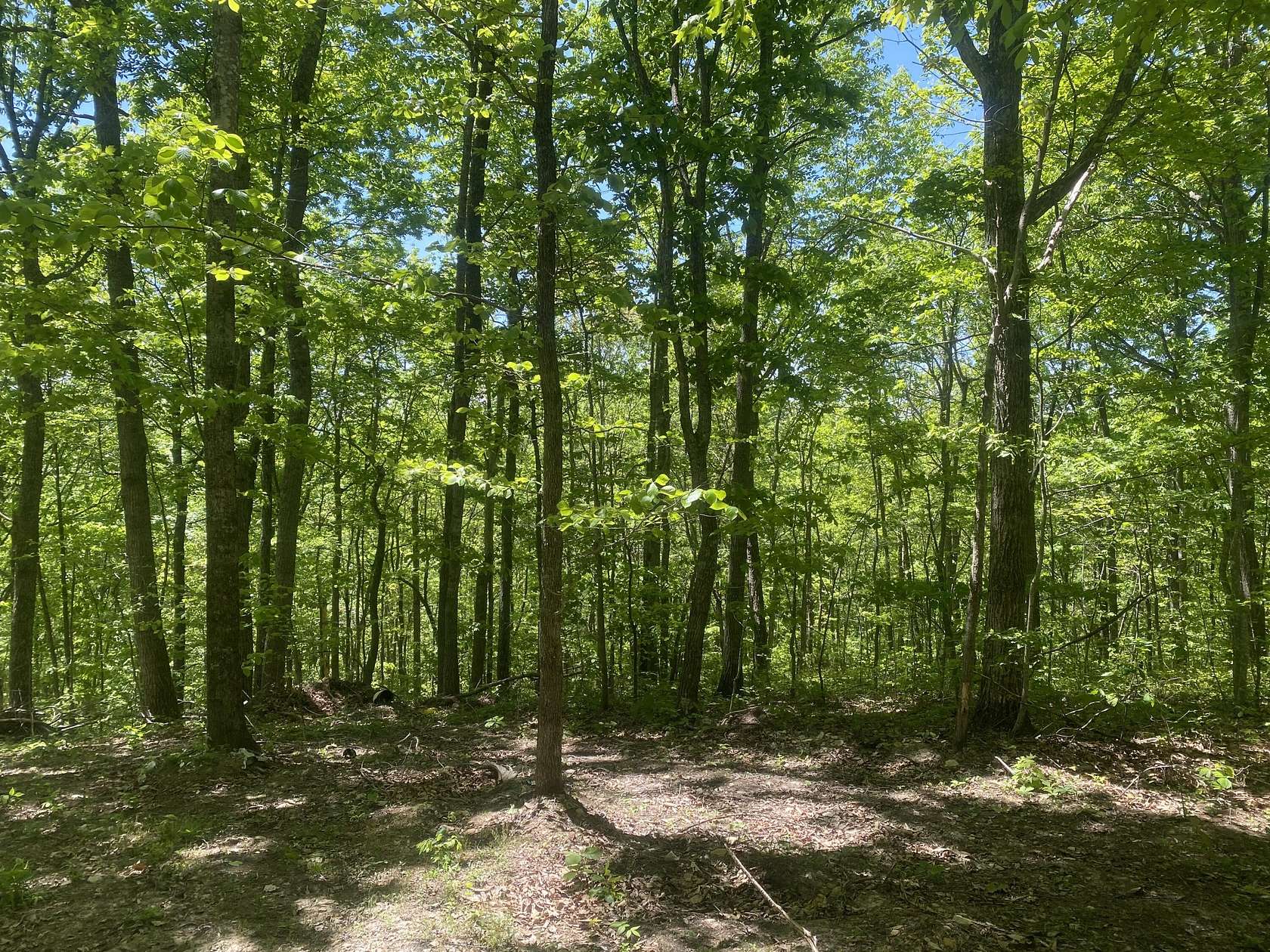 40 Acres of Recreational Land for Sale in McKee, Kentucky