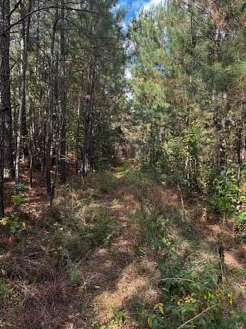 16.2 Acres of Recreational & Residential Land for Sale in Hampton, Georgia