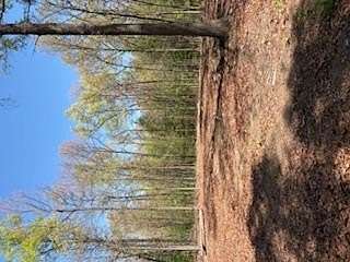 5.67 Acres of Land for Sale in Jamestown, Tennessee