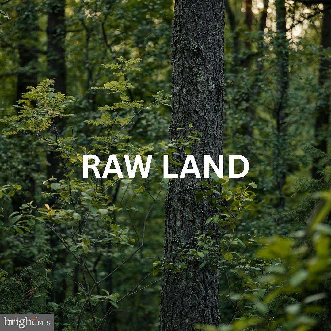 1 Acre of Residential Land for Sale in Mineral, Virginia