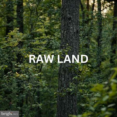 1 Acre of Residential Land for Sale in Mineral, Virginia