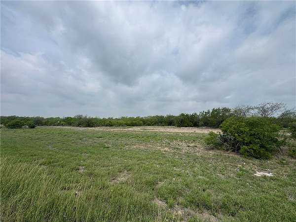 12 Acres of Recreational & Residential Land for Sale in Alice, Texas