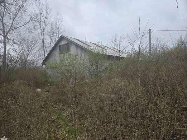 10 Acres of Residential Land for Sale in Clyde Township, Michigan