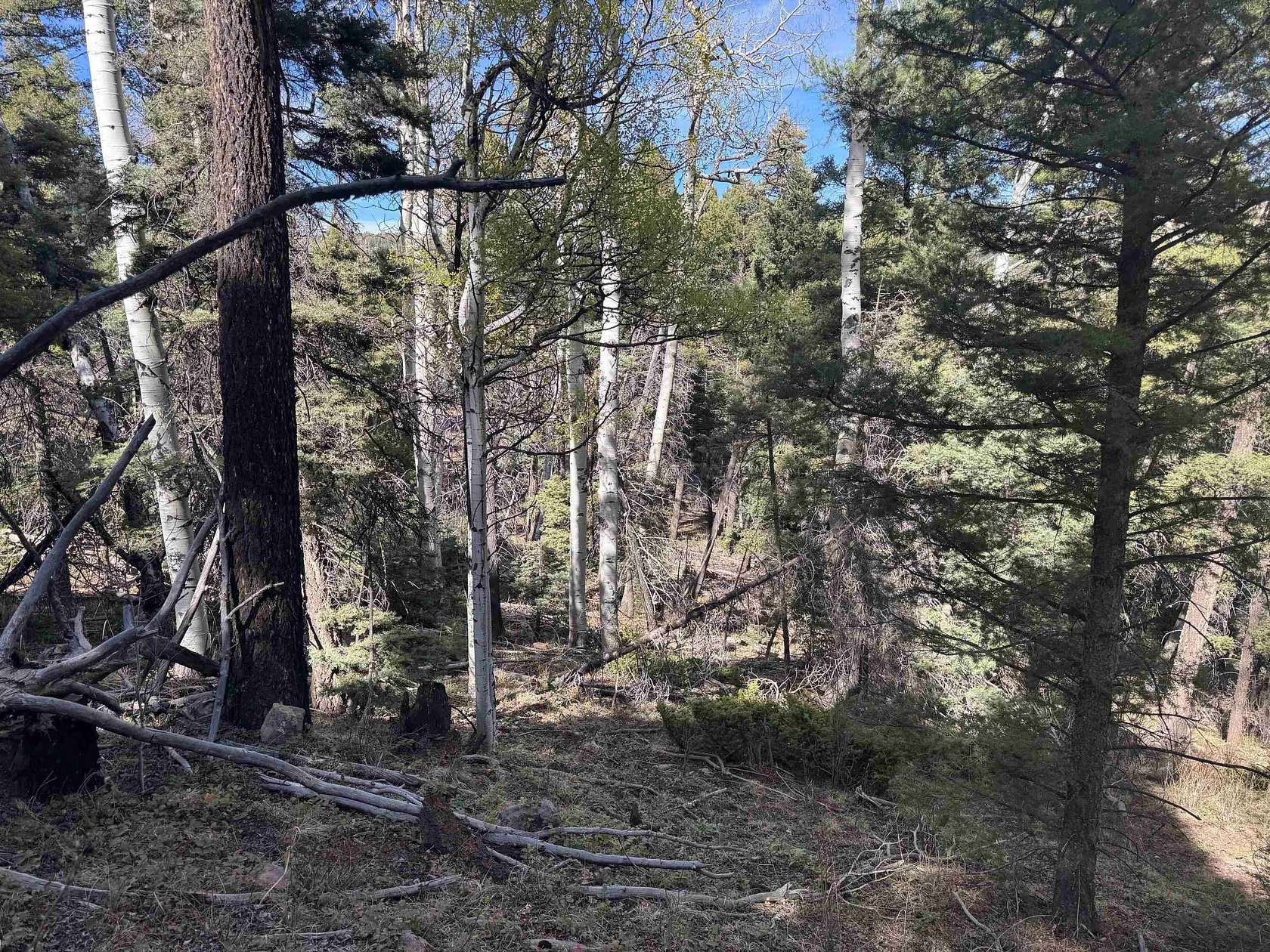 0.9 Acres of Residential Land for Sale in Angel Fire, New Mexico